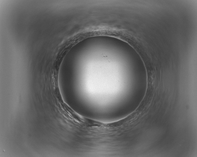 X0000080101493200612151607