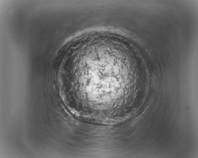 X0000080101494200612151607