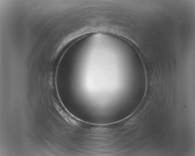 X0000080101499200612151607