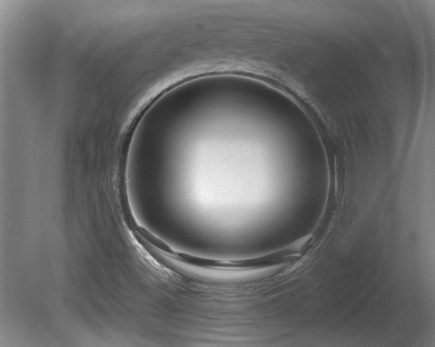 X0000080101500200612151607