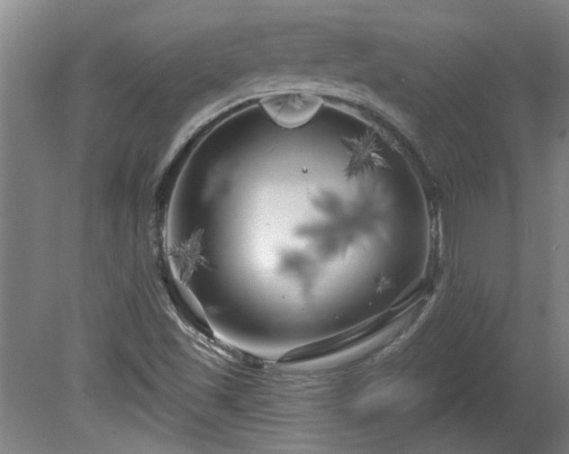 X0000080101501200612151607
