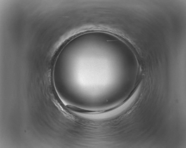 X0000080101503200612151607