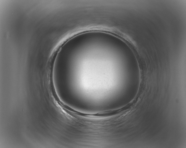 X0000080101504200612151607