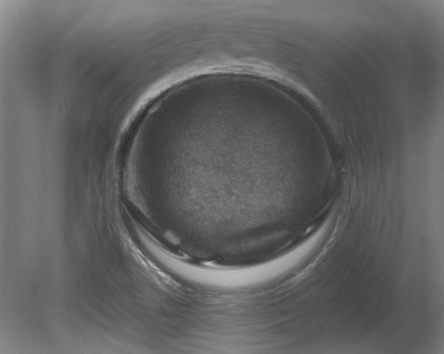 X0000080101506200612151607