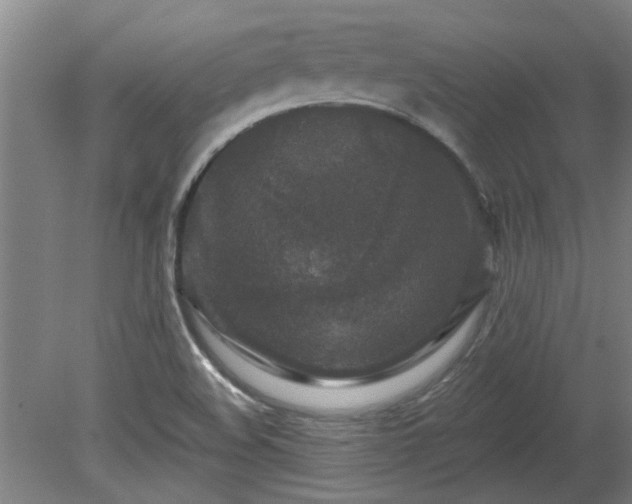 X0000080101508200612151607