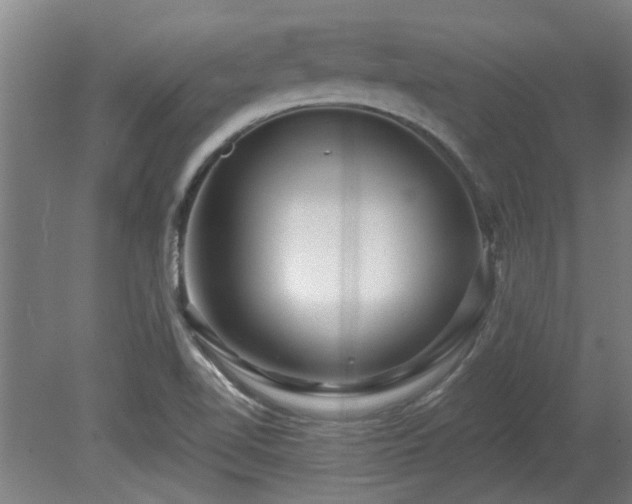 X0000080101510200612151607