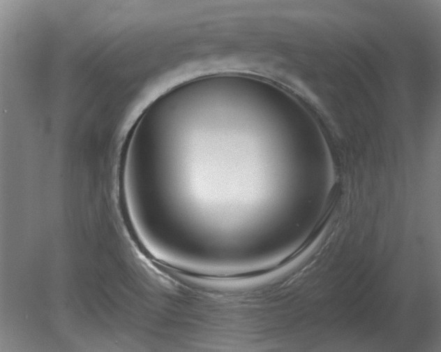 X0000080101512200612151607