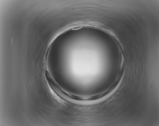 X0000080101524200612151608