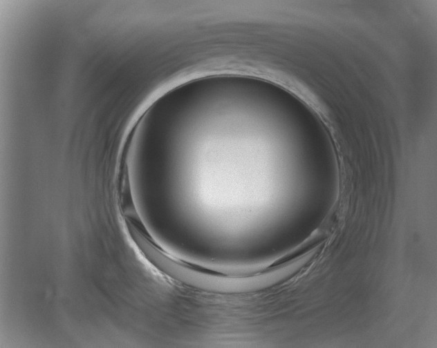 X0000080101536200612151608