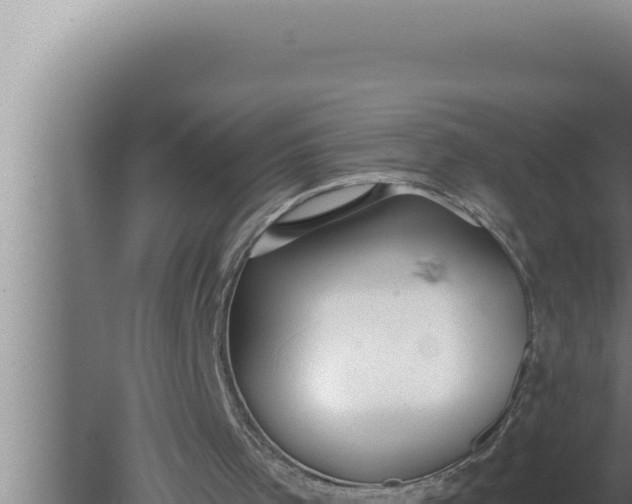 X0000080100001200612221751