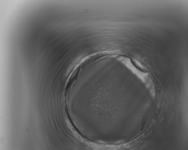 X0000080100002200612221751