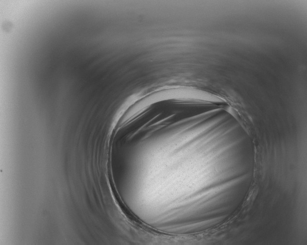 X0000080100003200612221751