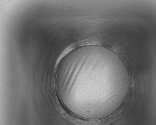 X0000080100004200612221751