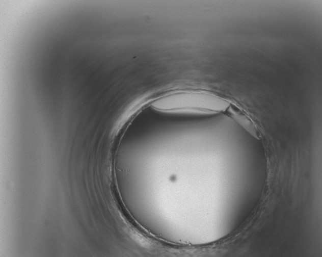 X0000080100005200612221751