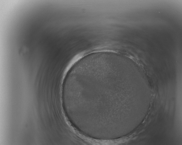 X0000080100006200612221751