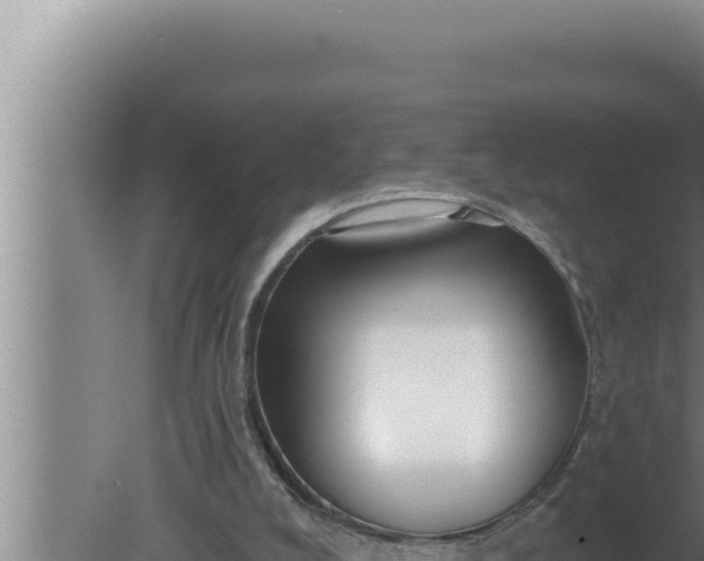 X0000080100008200612221751