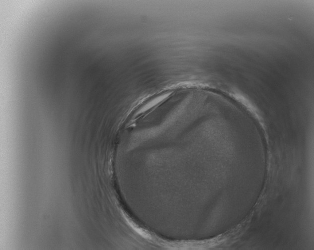 X0000080100009200612221751