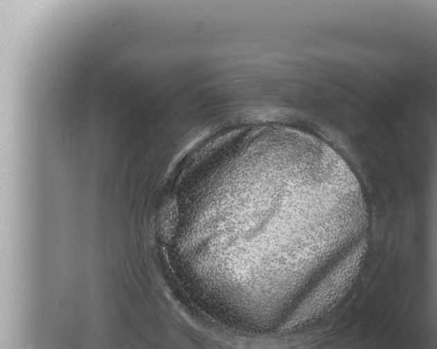 X0000080100010200612221750