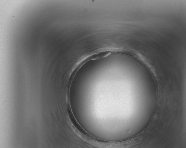 X0000080100011200612221750