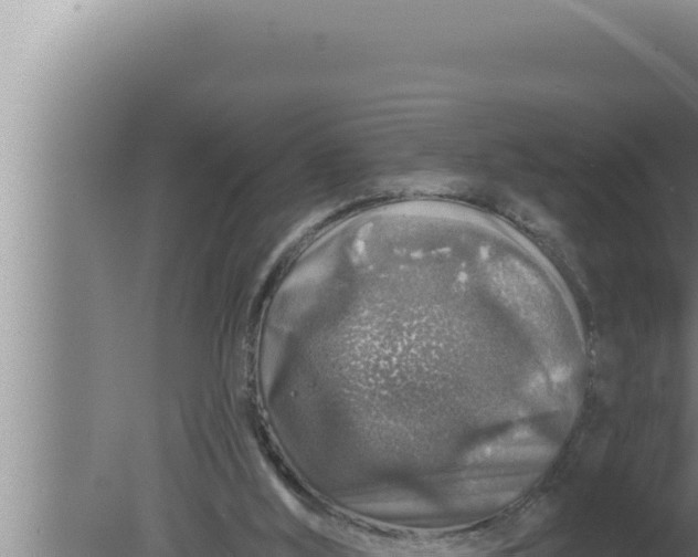 X0000080100012200612221750