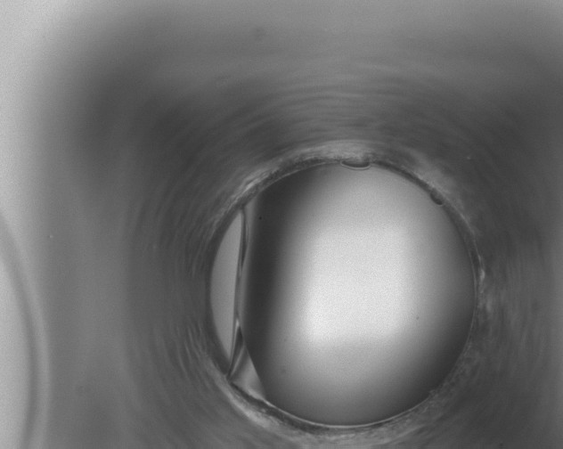 X0000080100013200612221750