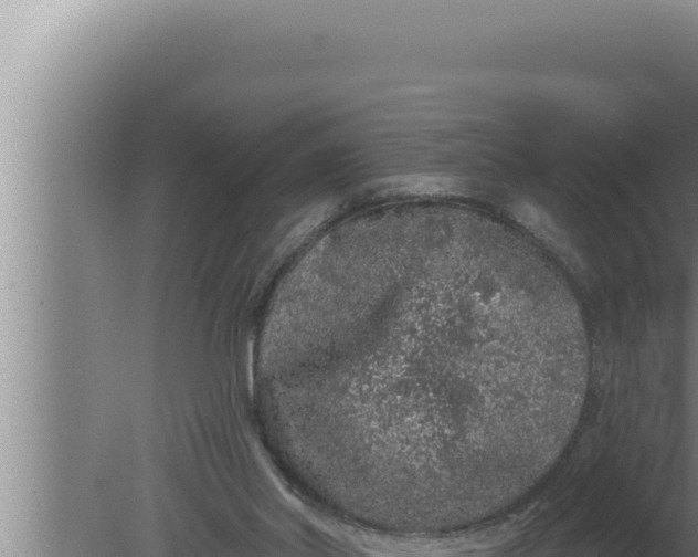 X0000080100014200612221750