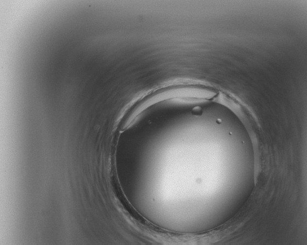 X0000080100015200612221750