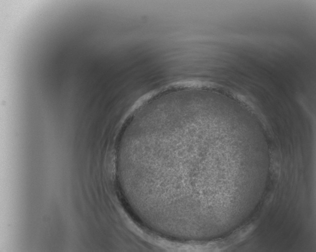 X0000080100016200612221750