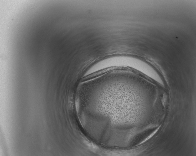 X0000080100017200612221750