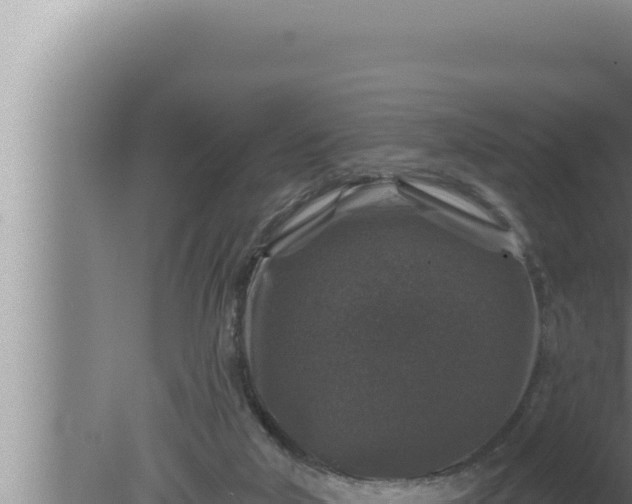 X0000080100018200612221750