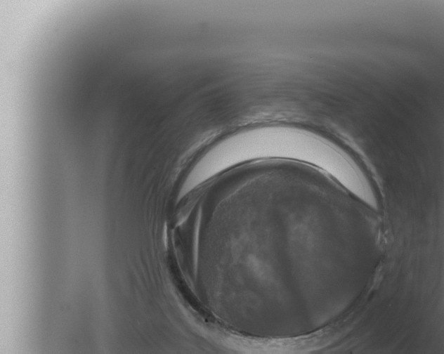 X0000080100019200612221750