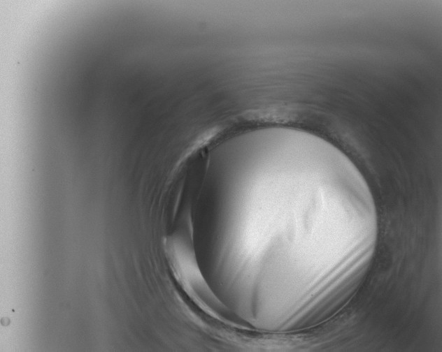 X0000080100020200612221750