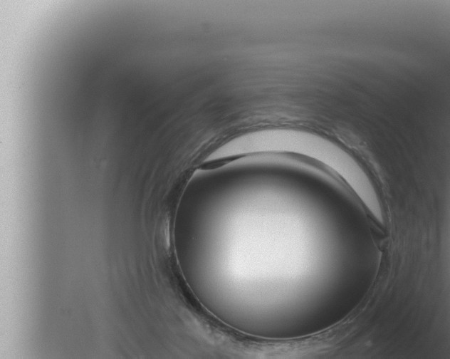 X0000080100021200612221750