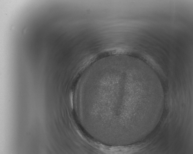 X0000080100022200612221750