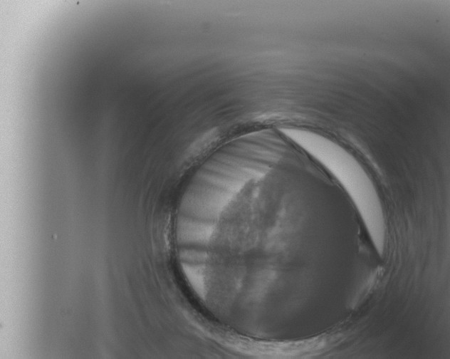 X0000080100023200612221750