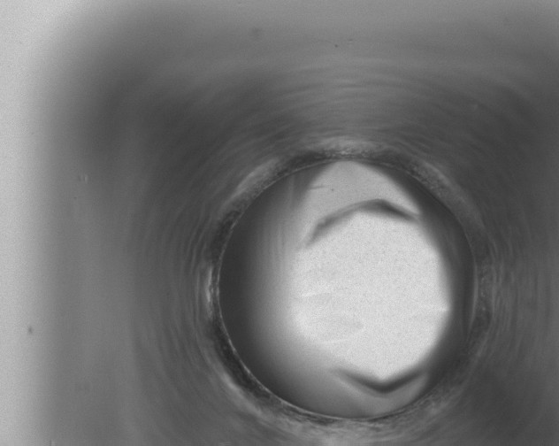 X0000080100024200612221750