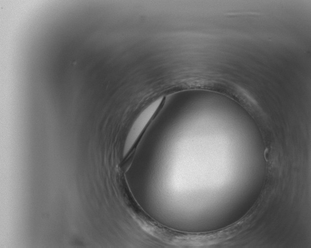 X0000080100025200612221750