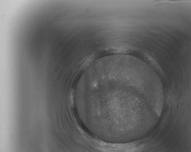 X0000080100026200612221750