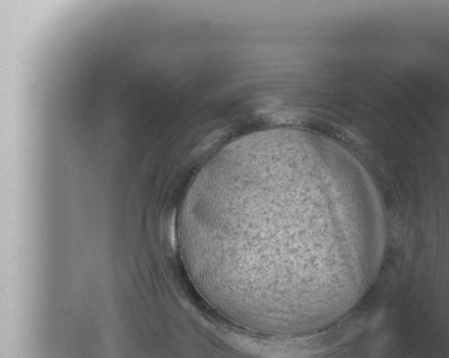 X0000080100028200612221750