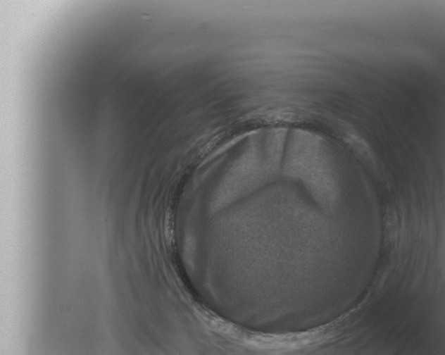 X0000080100029200612221750