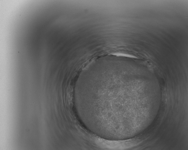 X0000080100030200612221750