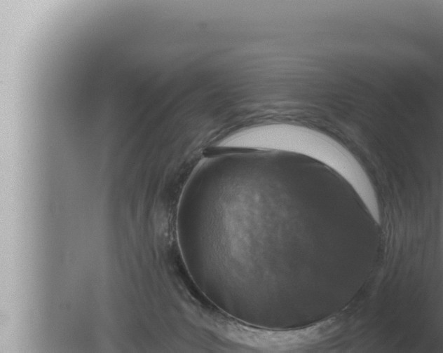 X0000080100031200612221750