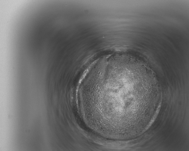 X0000080100032200612221750