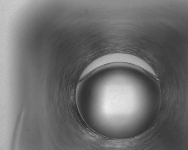 X0000080100033200612221750