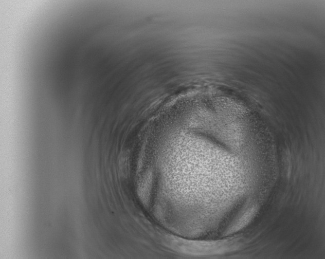 X0000080100034200612221750