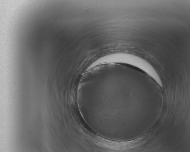 X0000080100035200612221750