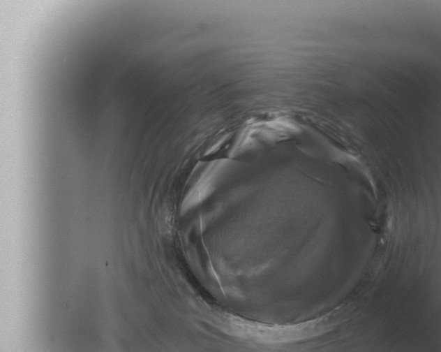 X0000080100039200612221750