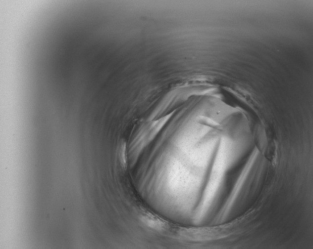 X0000080100041200612221750