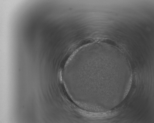 X0000080100042200612221750