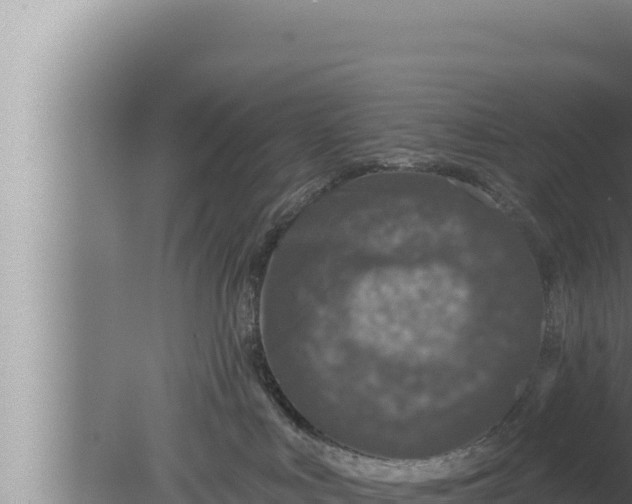 X0000080100043200612221750